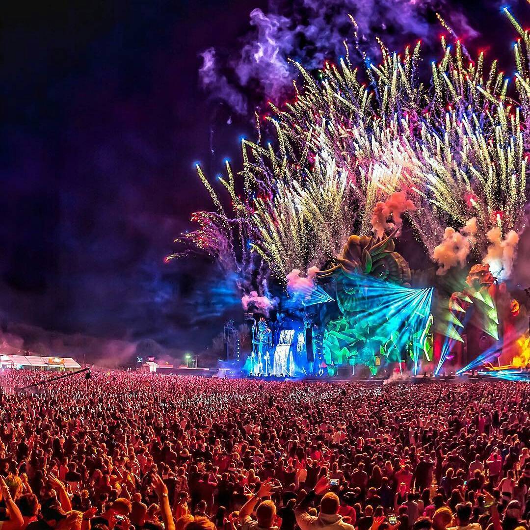 Excited kingdom. Electric Daisy Carnival. Electric Daisy. Slides Carnival. Heatwave Rave Gear.